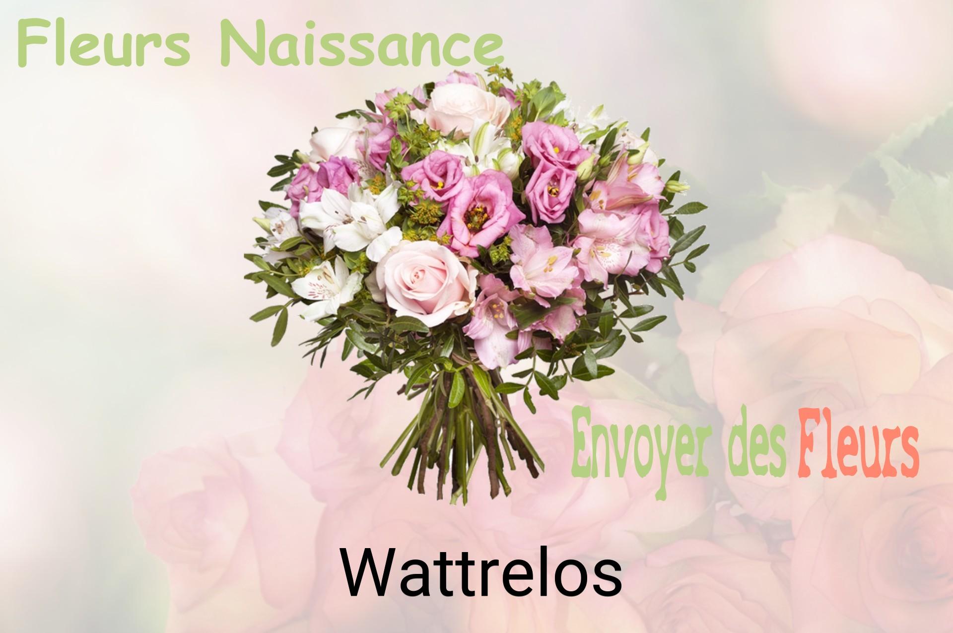 Bouquet de fleurs de naissance livré à Wattrelos